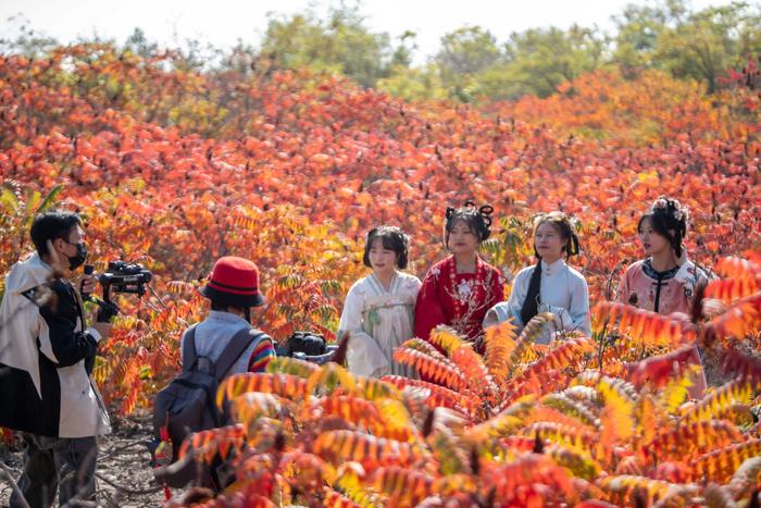 #网络中国节我在宁夏晒月亮｜高清大图：宁夏大武口，红叶红满山，丹霞地貌惹人醉！