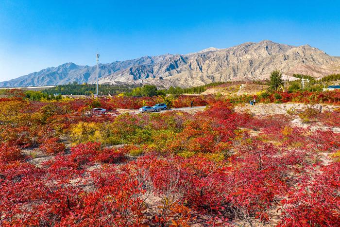 #网络中国节我在宁夏晒月亮｜高清大图：宁夏大武口，红叶红满山，丹霞地貌惹人醉！