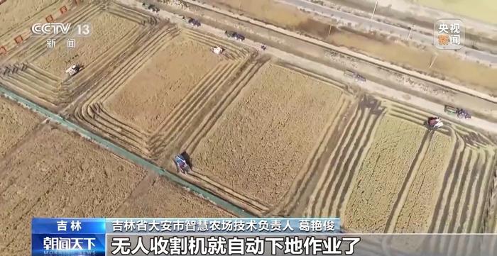 水稻收割无人化、大豆有了增产密码……一起来看丰收里的“大食物观”