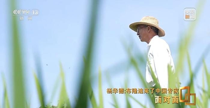 他让这个非洲国家的水稻增产了三倍！来看非洲农田上的“魔术师”