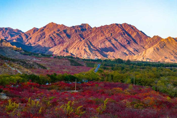 #网络中国节我在宁夏晒月亮｜高清大图：宁夏大武口，红叶红满山，丹霞地貌惹人醉！