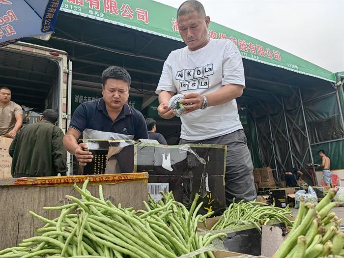 长沙人菜篮子四季常鲜，是怎么做到的？| 山水洲城记