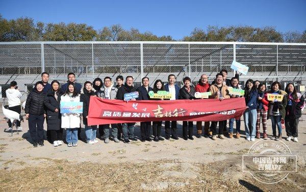 高质量发展吉林行｜在向海国家级自然保护区 采访团与丹顶鹤来了一次“亲密接触”