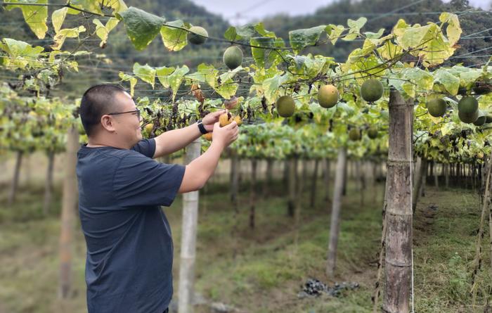 湖南平江：铺好助农“路” 带动村民富