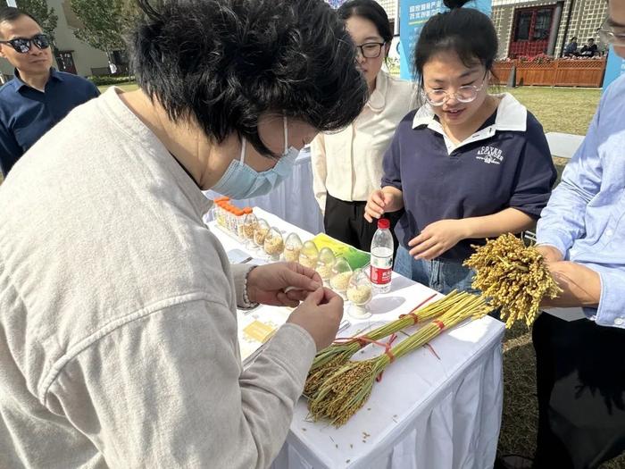 刚上市的大米有多香？优质粮油进入杨浦社区，还有“干货”科普