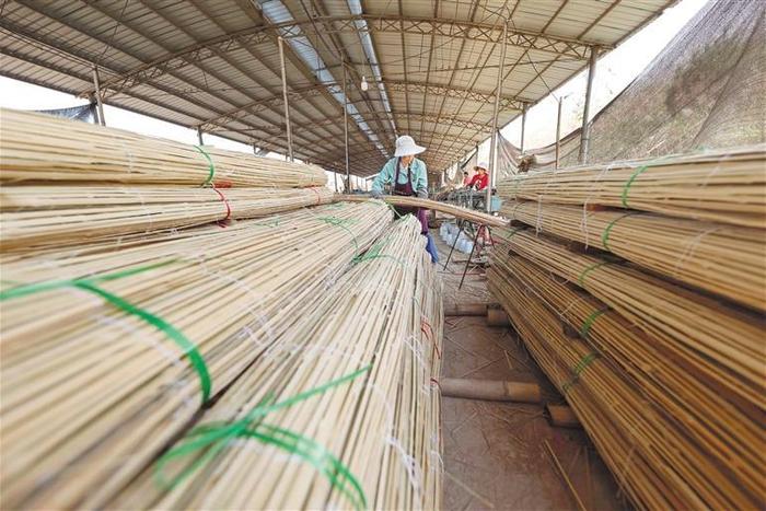 图为10月16日，锦屏县新化乡新化所村一家竹制品生产企业，工人在整理竹制半成品。