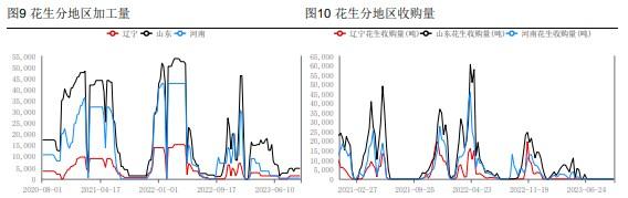 农户惜售观望 花生需求方拿货谨慎