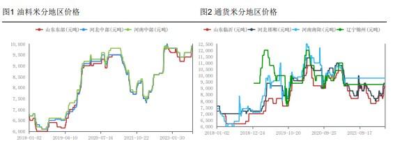 农户惜售观望 花生需求方拿货谨慎