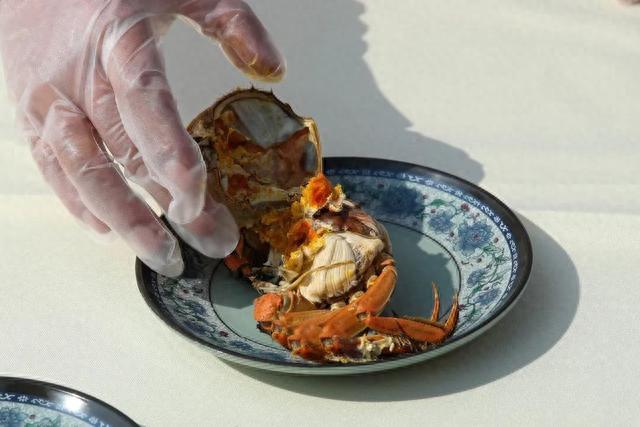 个大、肉肥、膏黄！松江地产黄浦江大闸蟹今日开捕，产量可谓“十年之最”！