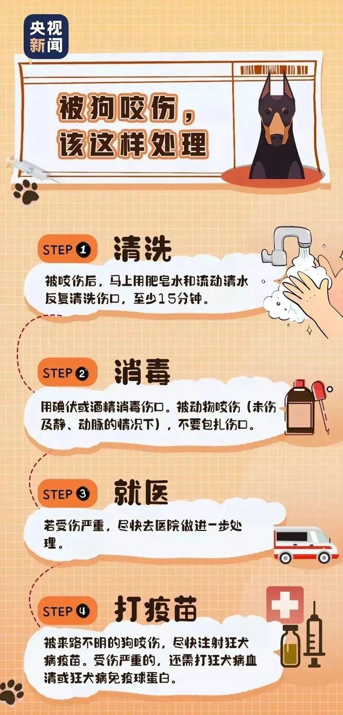 @衡水人 文明养犬是法律责任！！！