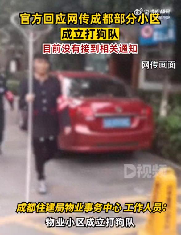 上海明文规定：物业要劝阻违规养宠行为，劝阻无效可上报！最新消息：烈犬主人已被刑拘