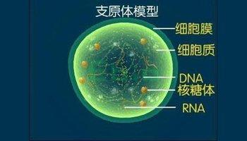 输液激增，尚无疫苗！上热搜的究竟是个什么病？