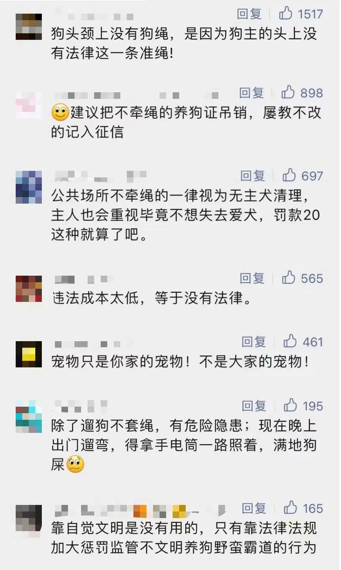 劝阻遛狗不拴绳的狗主人，上海爷叔坚持了3年，却频遭冷嘲热讽？