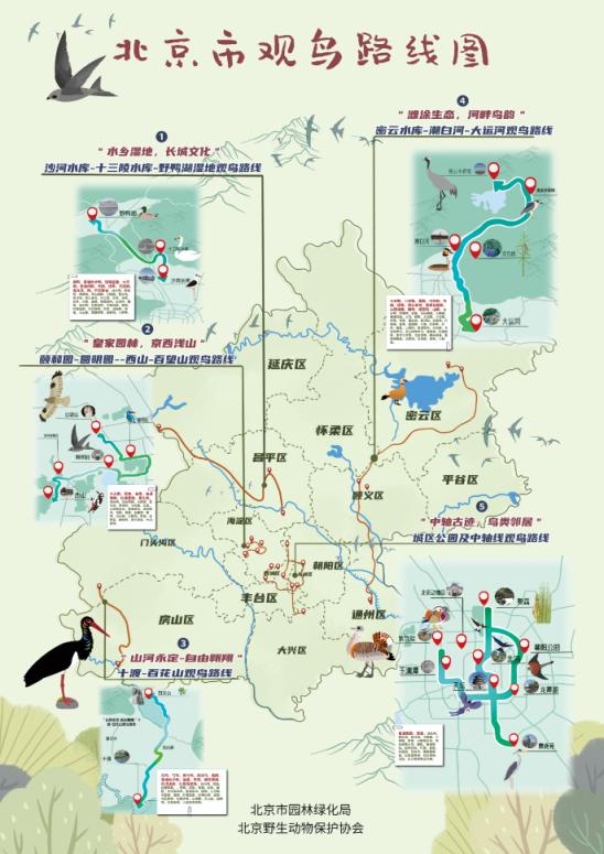 首发地图，京津冀晋44个观鸟点可看全国一半数量的鸟