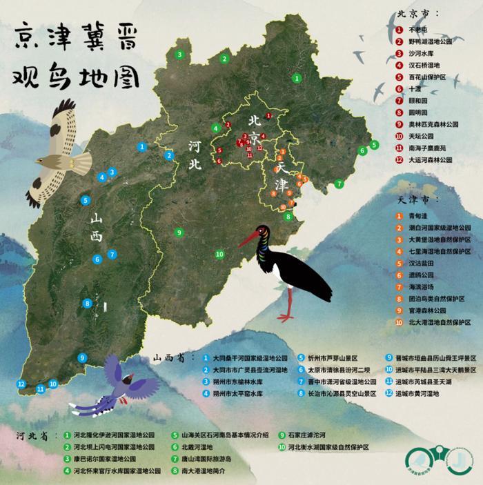 首发地图，京津冀晋44个观鸟点可看全国一半数量的鸟