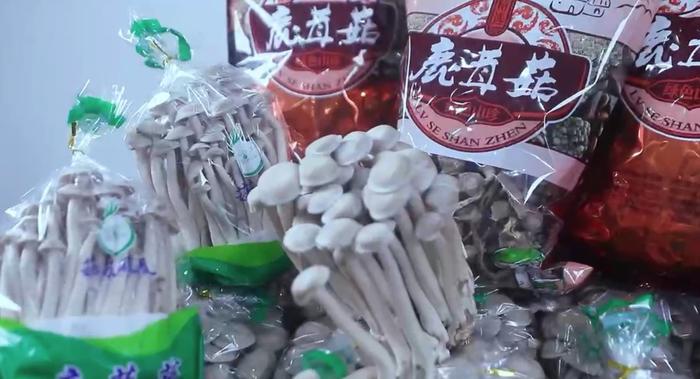 天府庆丰收 农博看粮仓丨探访包揽多个生产“冠军”的食用菌产业园，这里的企业做对了什么？