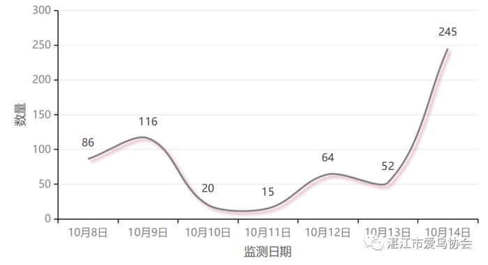 南极村观猛禽！一天百鸟翔集