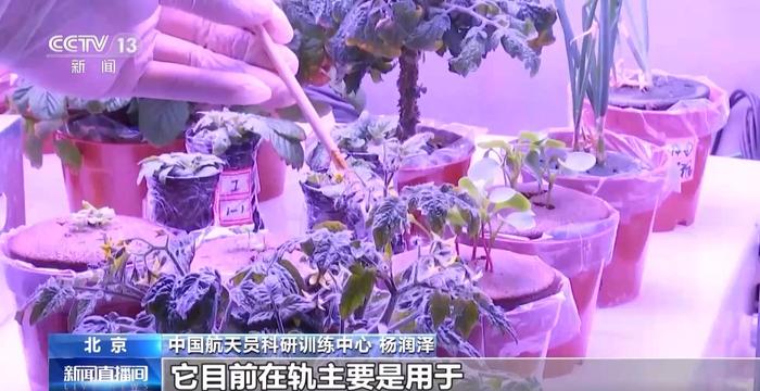 太空植物栽培：为未来深空探测奠定基础