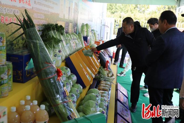 达成采购意向15个！首届京津冀露地蔬菜产业创新大会在河北玉田召开