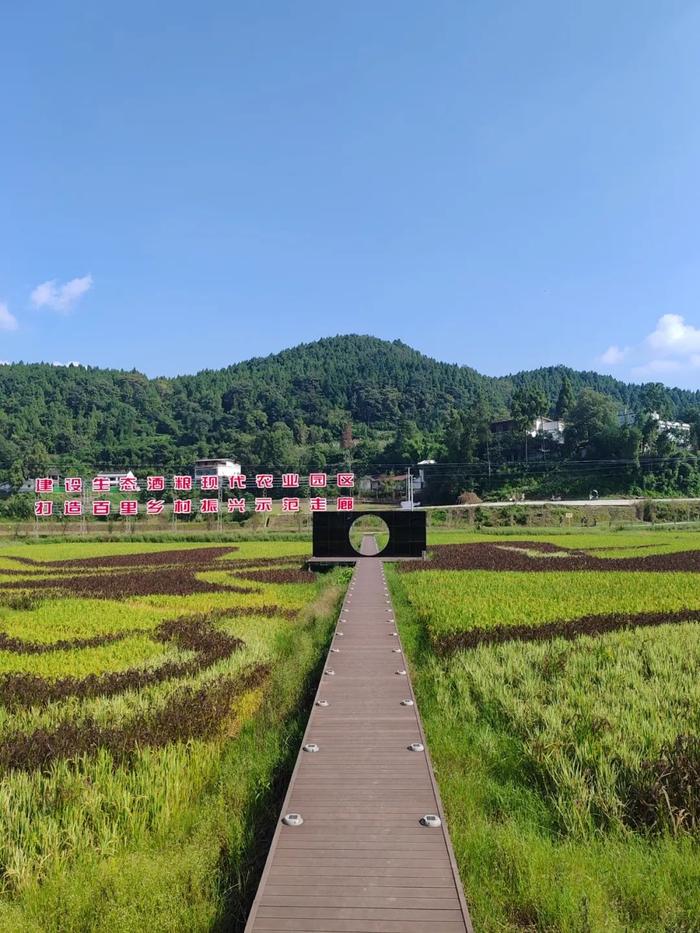 刘春明/张颐武/张文敬：在生物、哲学和地理中，品味舍得老酒