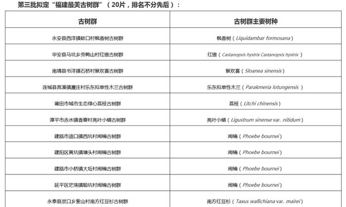 共20片！第三批“福建最美古树群”名单公示