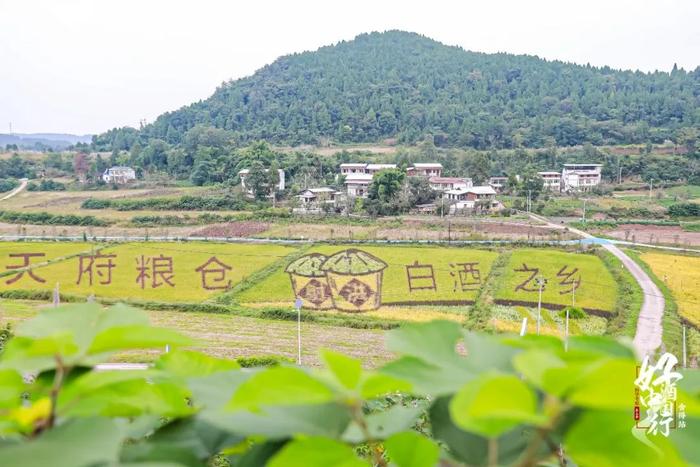 刘春明/张颐武/张文敬：在生物、哲学和地理中，品味舍得老酒