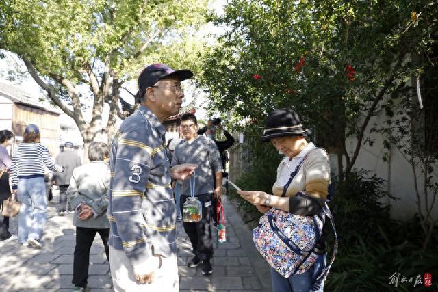 传孝道暖重阳：在青溪老街赏菊对诗，老人与子女共享传统文化之旅