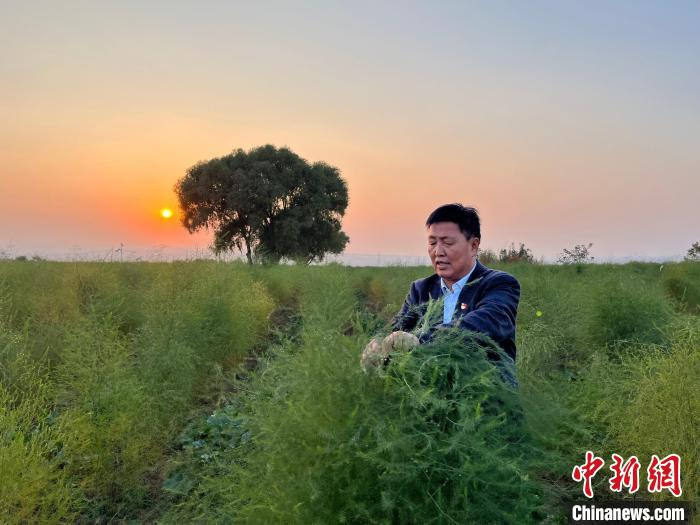 w700d1q75cms.jpg?by=cms_fixed_width