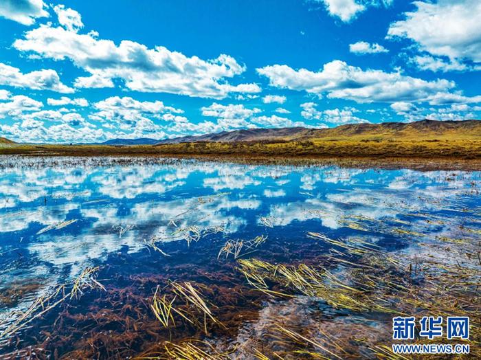 四川省阿坝州漫泽塘湿地迷人秋景令人陶醉