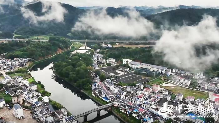 非遗茶记 一叶乾坤⑤ | 姜红：科技赋能产业 祁红茶香飘四方