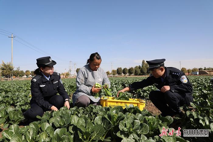 【图片新闻】高台县民警开展反诈宣传，全力守护群众“钱袋子”