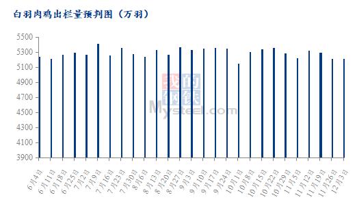 Mysteel解读：近期肉鸡价格触底原因分析及未来展望