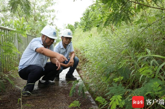 迈湾水利枢纽工程安全环保部部长夏玮：面朝大坝 守住安全环保线