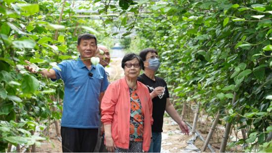 平潭打造电视节目《我自台湾来》：搭建连心桥 共画同心圆