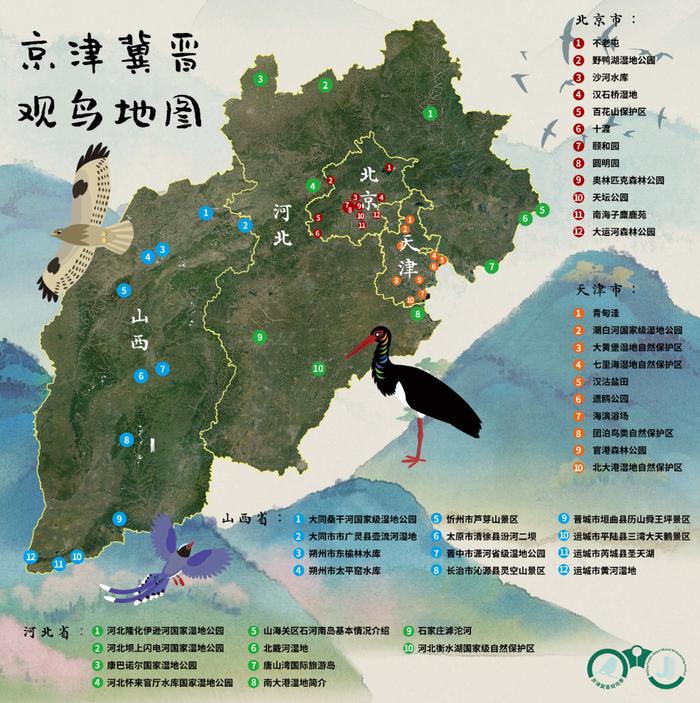 首发地图，京津冀晋44个观鸟点可看全国一半种类的鸟