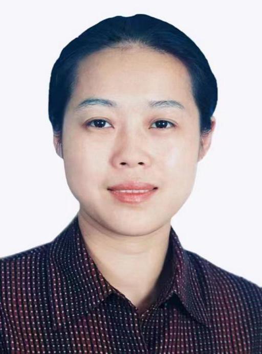 中华全国妇女联合会新当选的领导机构成员简历