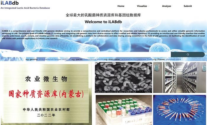 张和平团队 ：“寻菌”34年 让世界看到中国乳酸菌产业