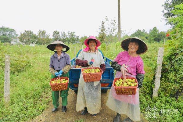 【绽放在乡村振兴路上的笑脸】南京溧水刘家边： 如画美景让乡村生活“诗意盎然” 特色农业奏响共同富裕乐章