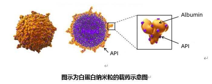 我与白蛋白纳米粒小试研发阶段的“交谈”