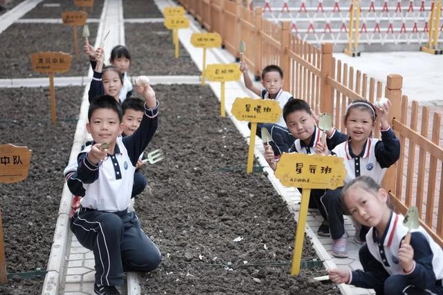 一个社团就是一片“教学做”天地！宝山区全面实施义务教育课后服务