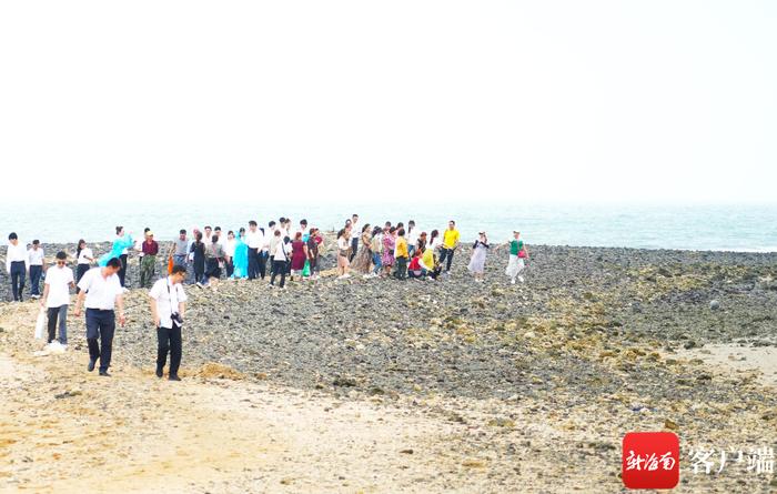 海南环岛旅游公路给临高乡村添“人气” “渔”“农”升级谋划发展“游”