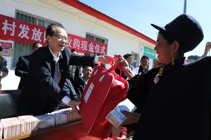 产业兴“丰”景美  好医生绘就和美乡村新画卷