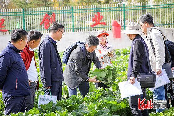 看品种 观农机 话发展  一场国际化的蔬菜盛会即将揭开“面纱”