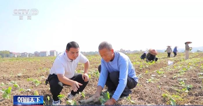 农业农村部：秋收已过八成半 秋种有序推进