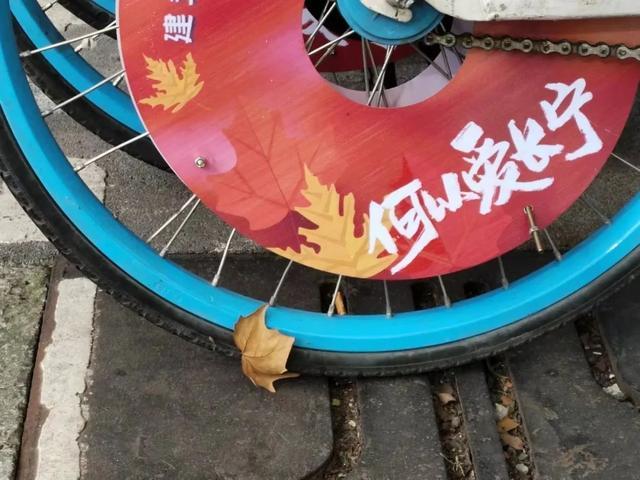 “霜叶红”哈啰单车现身长宁，开启秋日首场的Cityride