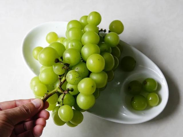 图源: pixabay