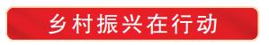 我市多举措巩固脱贫攻坚成果助力乡村振兴