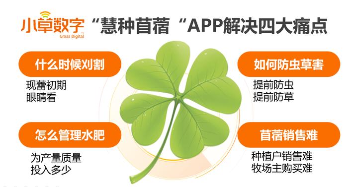 小草数字在中国牧草企业论坛发布“慧种苜蓿”APP