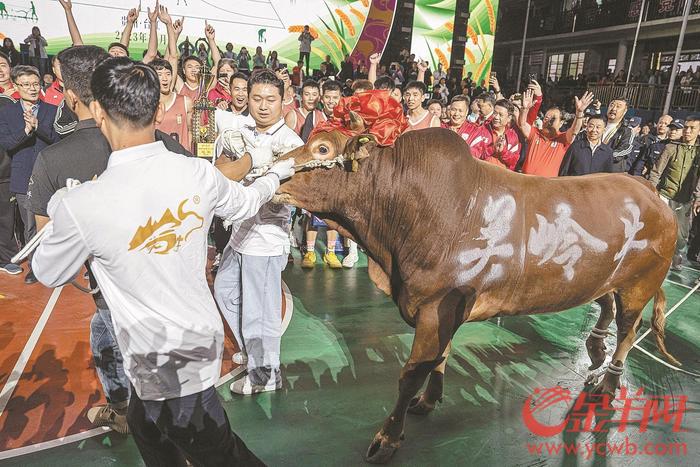 广东沙溪队夺冠“MVP”是篮球馆教练 “冠军牛”成宣传大使