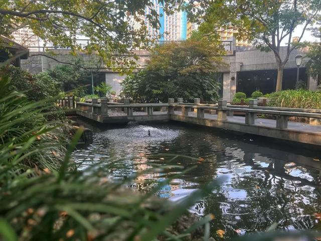 黄浦赏秋地图丨外滩风景带：秋意渐浓花正艳